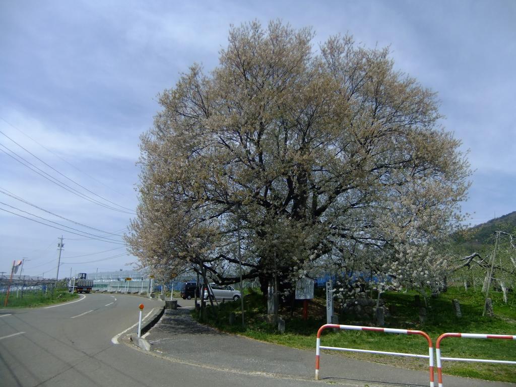 Shiga Park Hotel Yamanouchi  Eksteriør billede